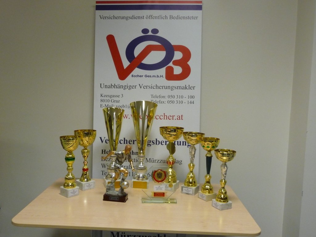 Pokale-Supercup-2014-kompr